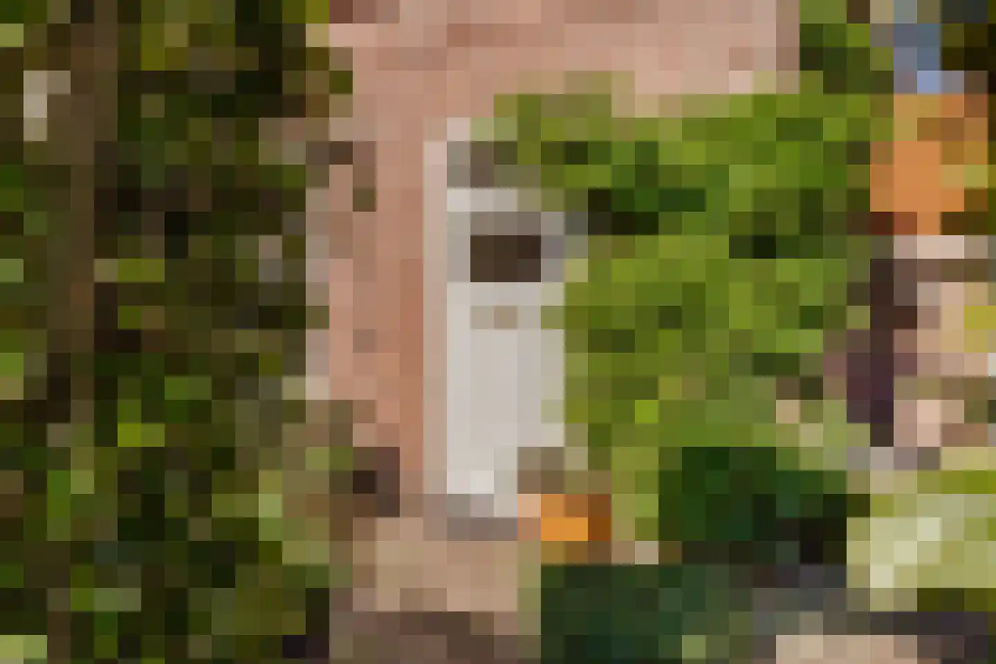 Hildegondestraat 3 Bussum thumbnail 47