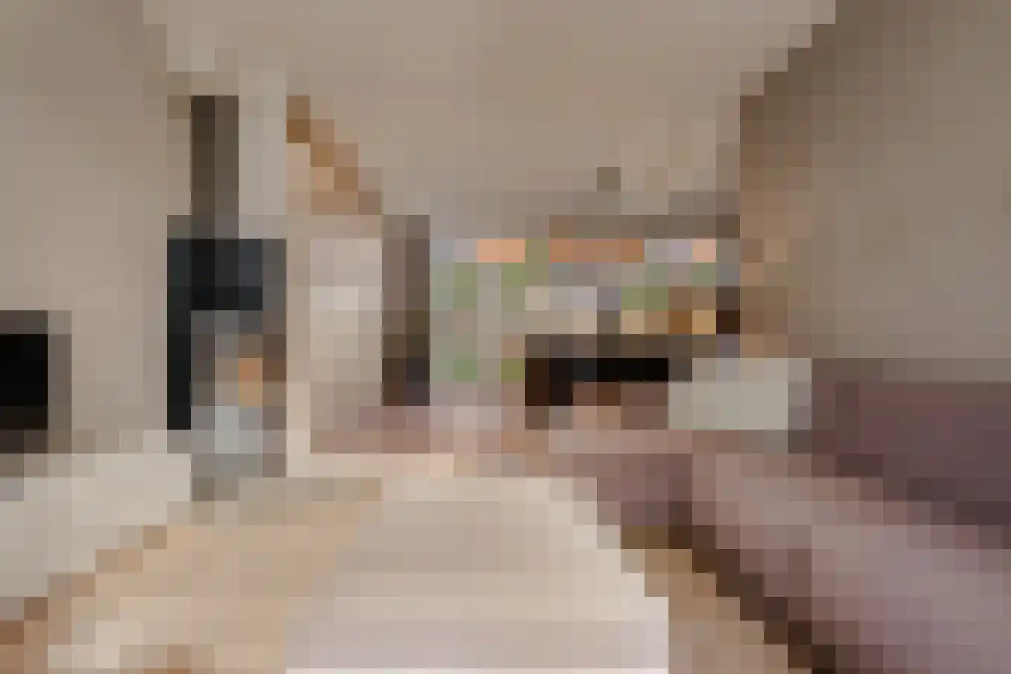 Hildegondestraat 3 Bussum thumbnail 7