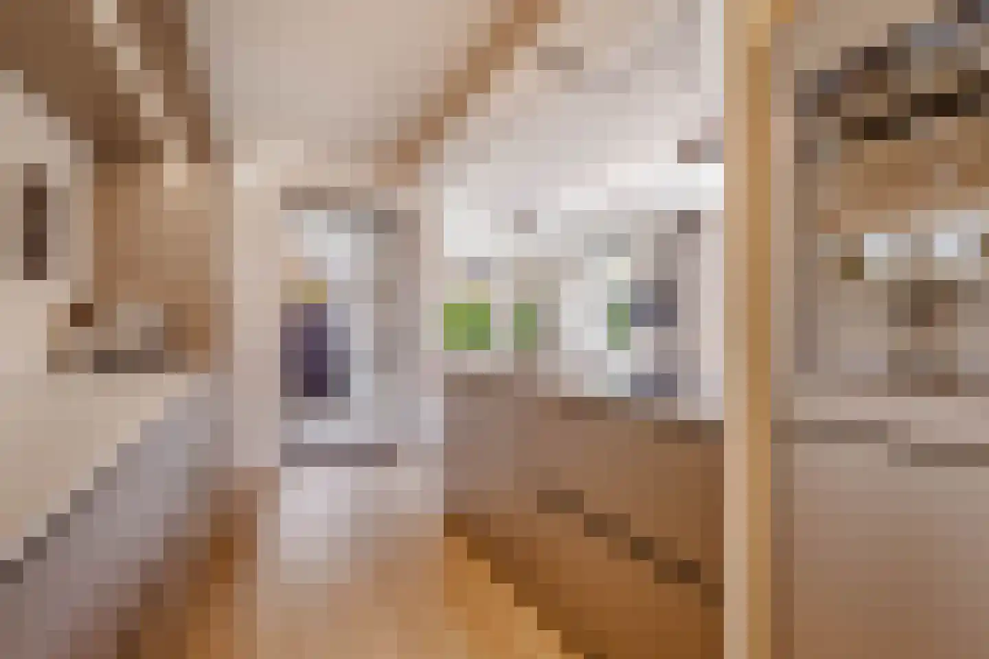 Hildegondestraat 6 Bussum thumbnail 10