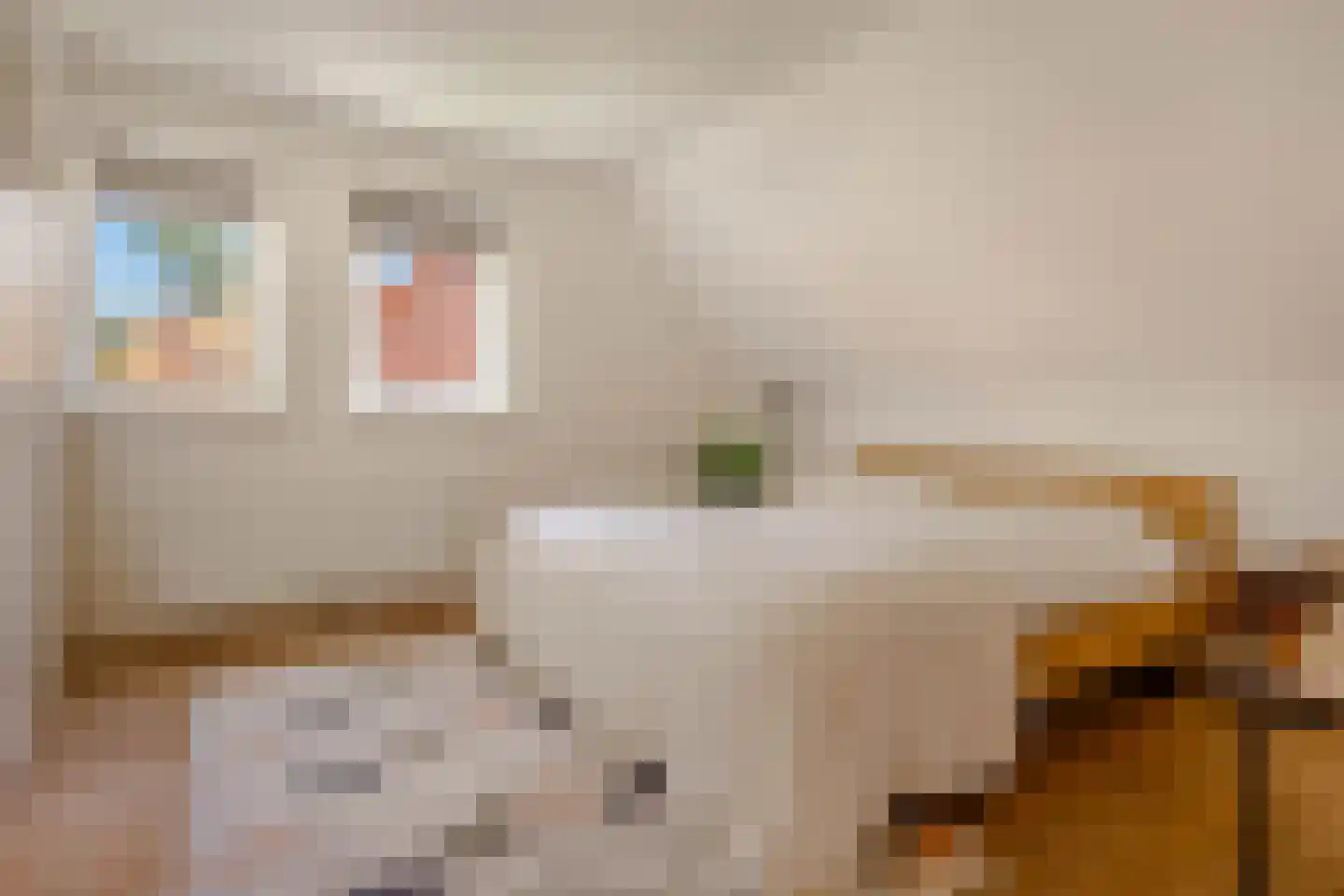 Hildegondestraat 6 Bussum thumbnail 19