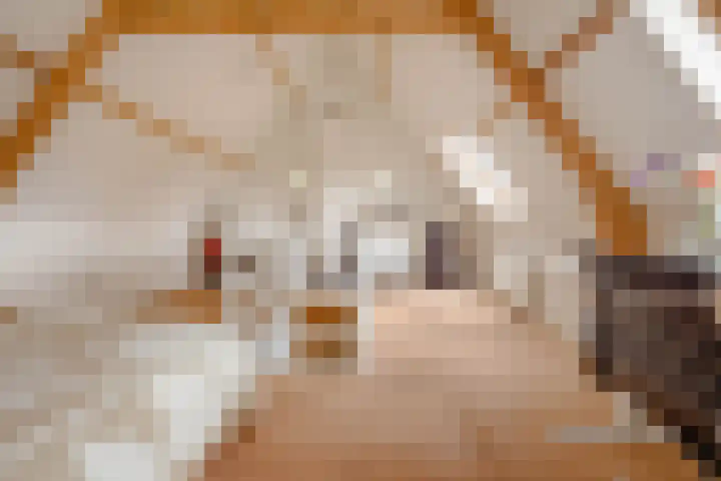 Hildegondestraat 6 Bussum thumbnail 29