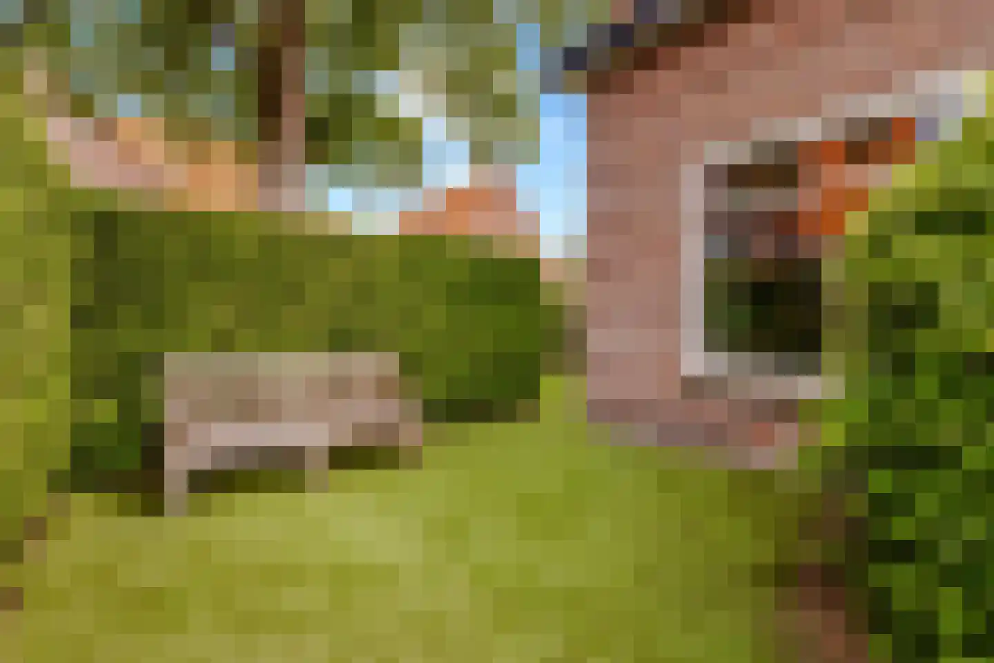 Hildegondestraat 6 Bussum thumbnail 38