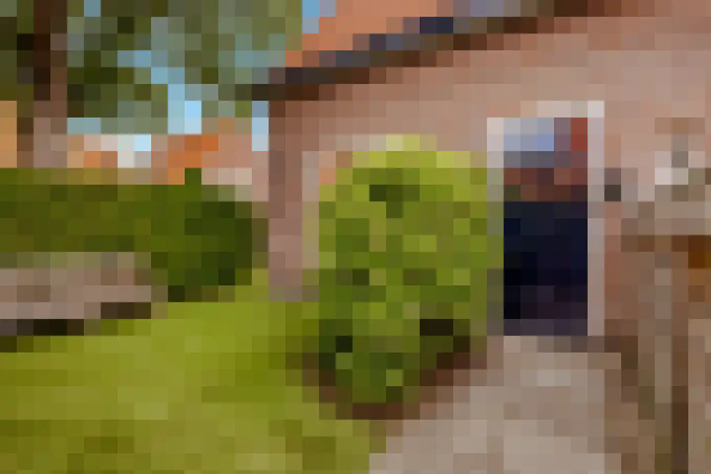 Hildegondestraat 6 Bussum thumbnail 39
