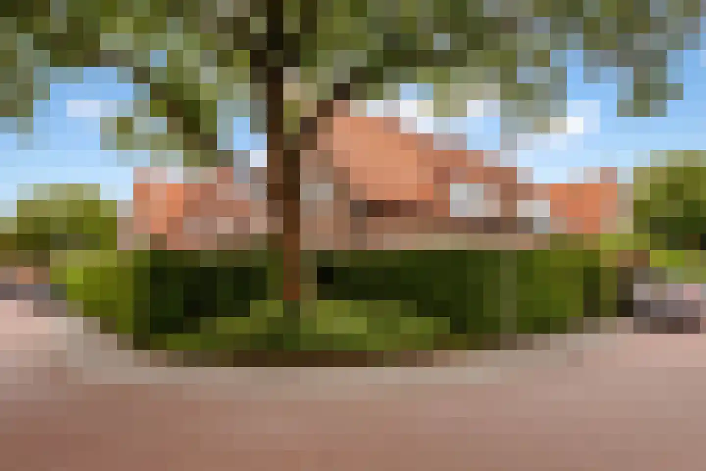 Hildegondestraat 6 Bussum thumbnail 49
