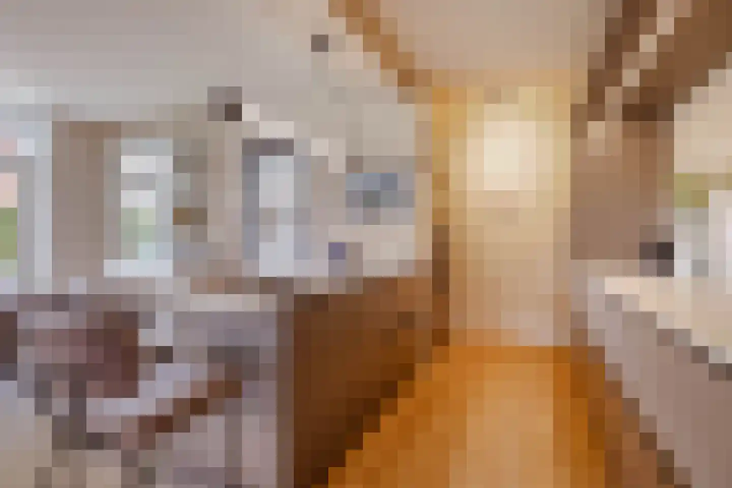 Hildegondestraat 6 Bussum thumbnail 8