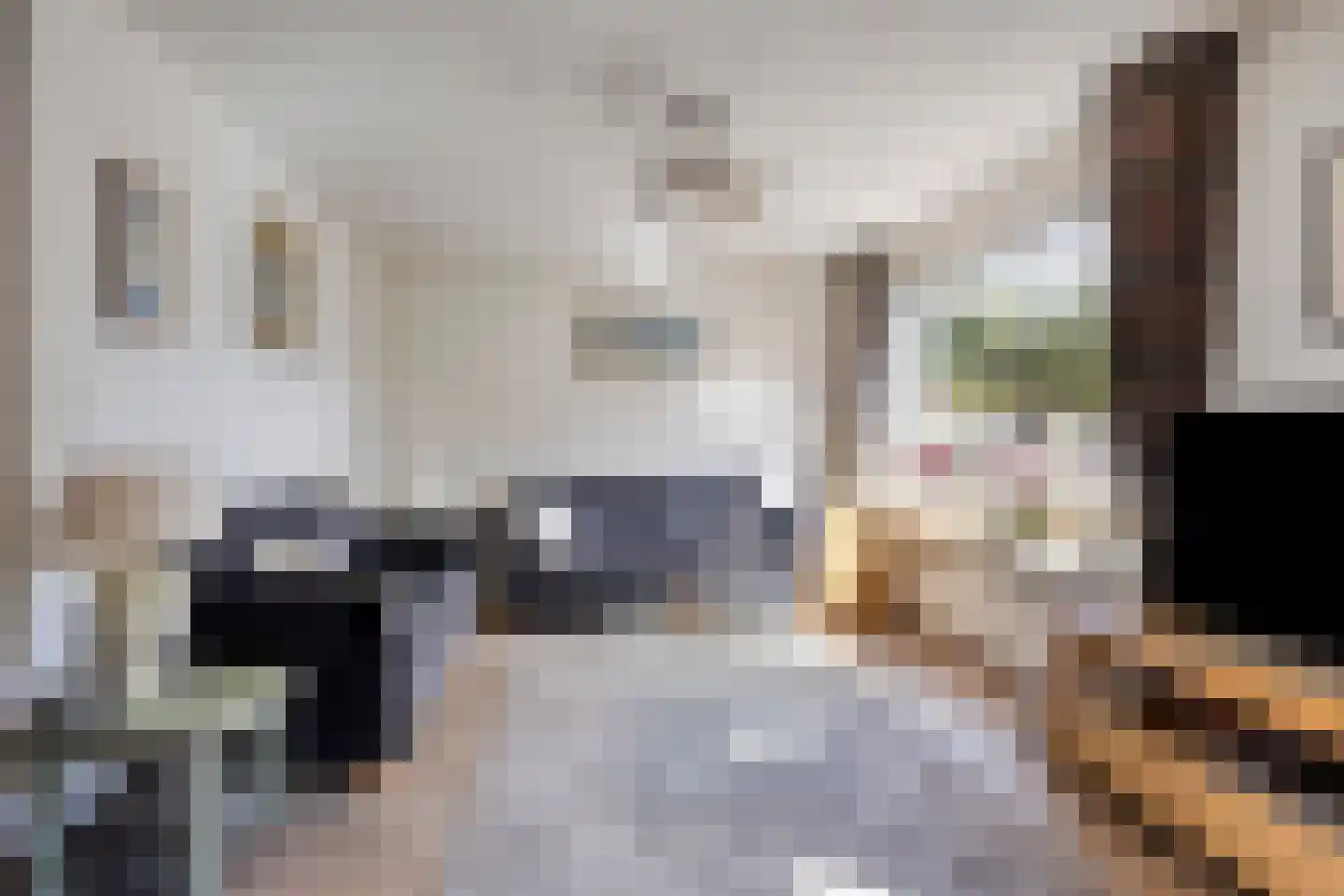 Hildeheugte 4 Assen thumbnail 6