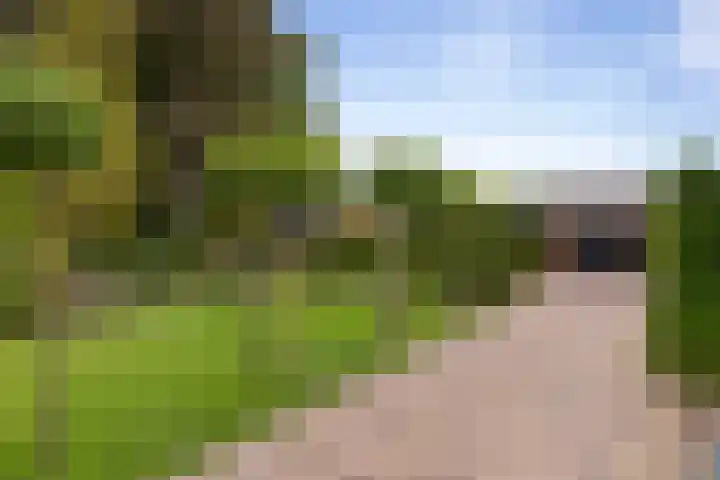 Hildestraat 5 Wilp thumbnail 24