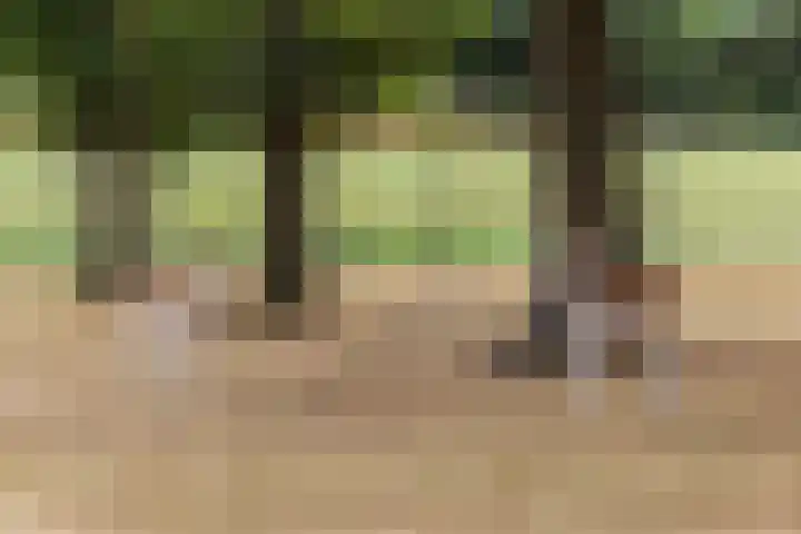 Hildestraat 5 Wilp thumbnail 35