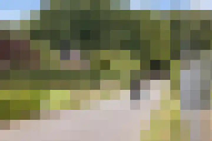 Hildestraat 5 Wilp thumbnail 37