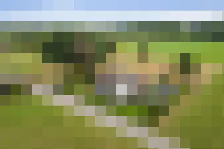Hildestraat 5 Wilp thumbnail 38