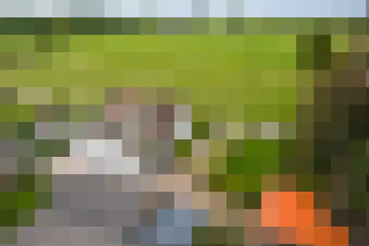 Hildestraat 5 Wilp thumbnail 39