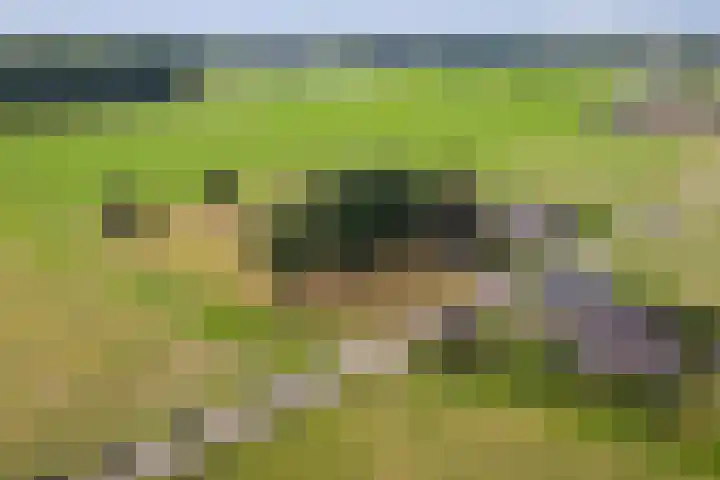 Hildestraat 5 Wilp thumbnail 41