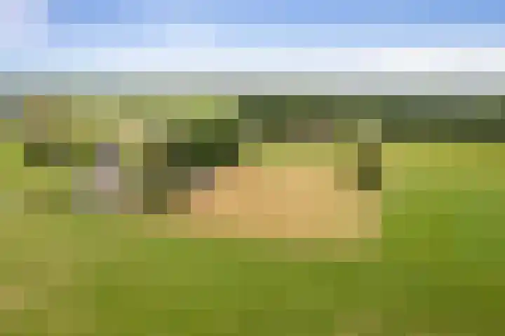 Hildestraat 5 Wilp thumbnail 46