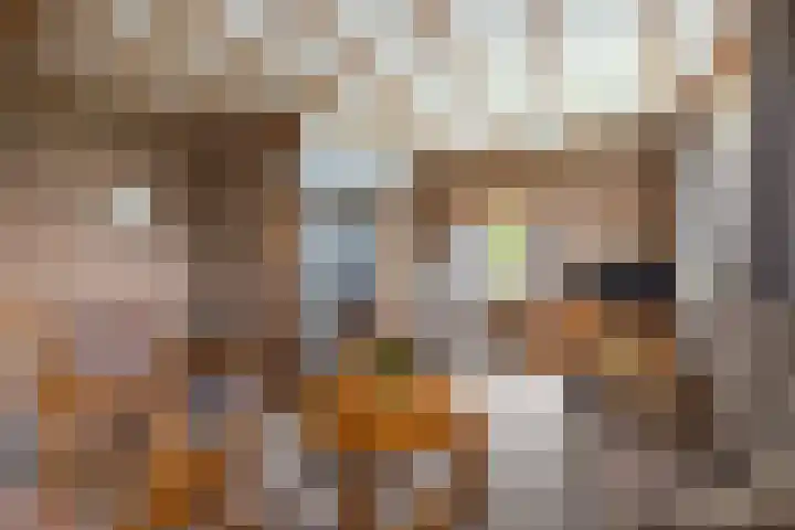 Hildestraat 5 Wilp thumbnail 9