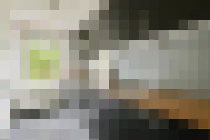 Hildo Kropplein 101 Amsterdam thumbnail 10