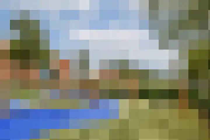 Hildo Kropplein 101 Amsterdam thumbnail 16