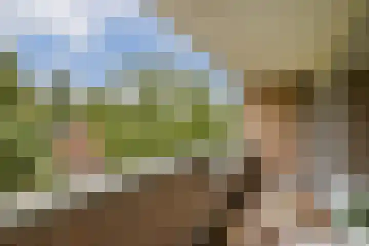 Hildo Kropplein 101 Amsterdam thumbnail 7