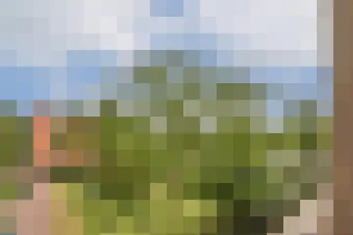 Hildo Kropplein 101 Amsterdam thumbnail 8