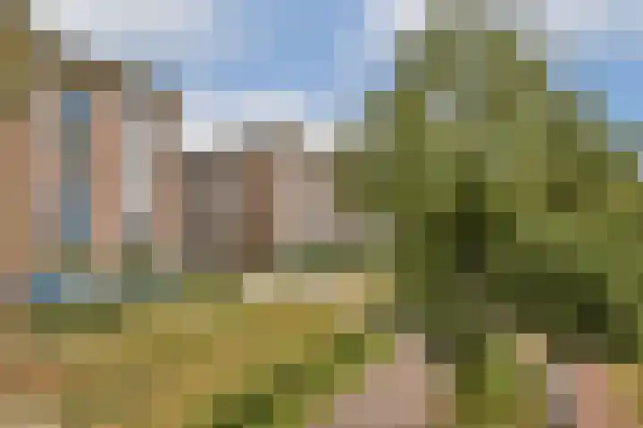 Hildo Kropplein 101 Amsterdam thumbnail 9