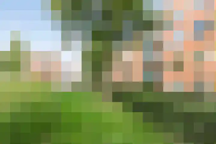 Hildo Kropplein 110 Amsterdam thumbnail 25