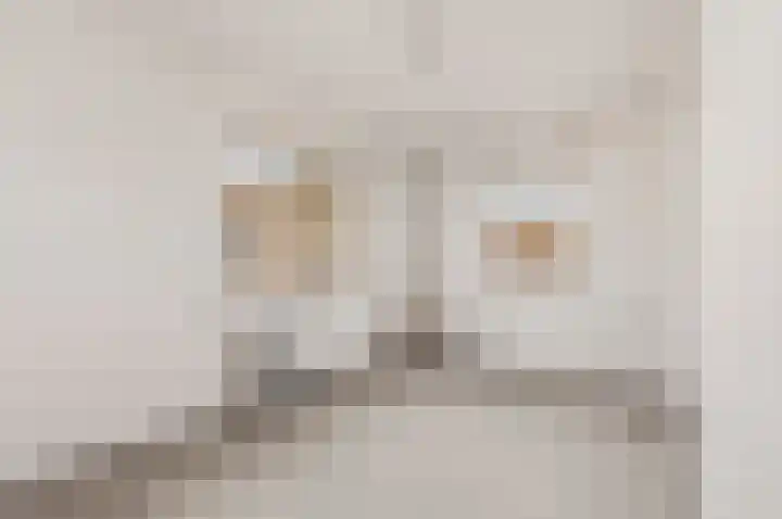 Hildo Kropplein 120 Amsterdam thumbnail 13