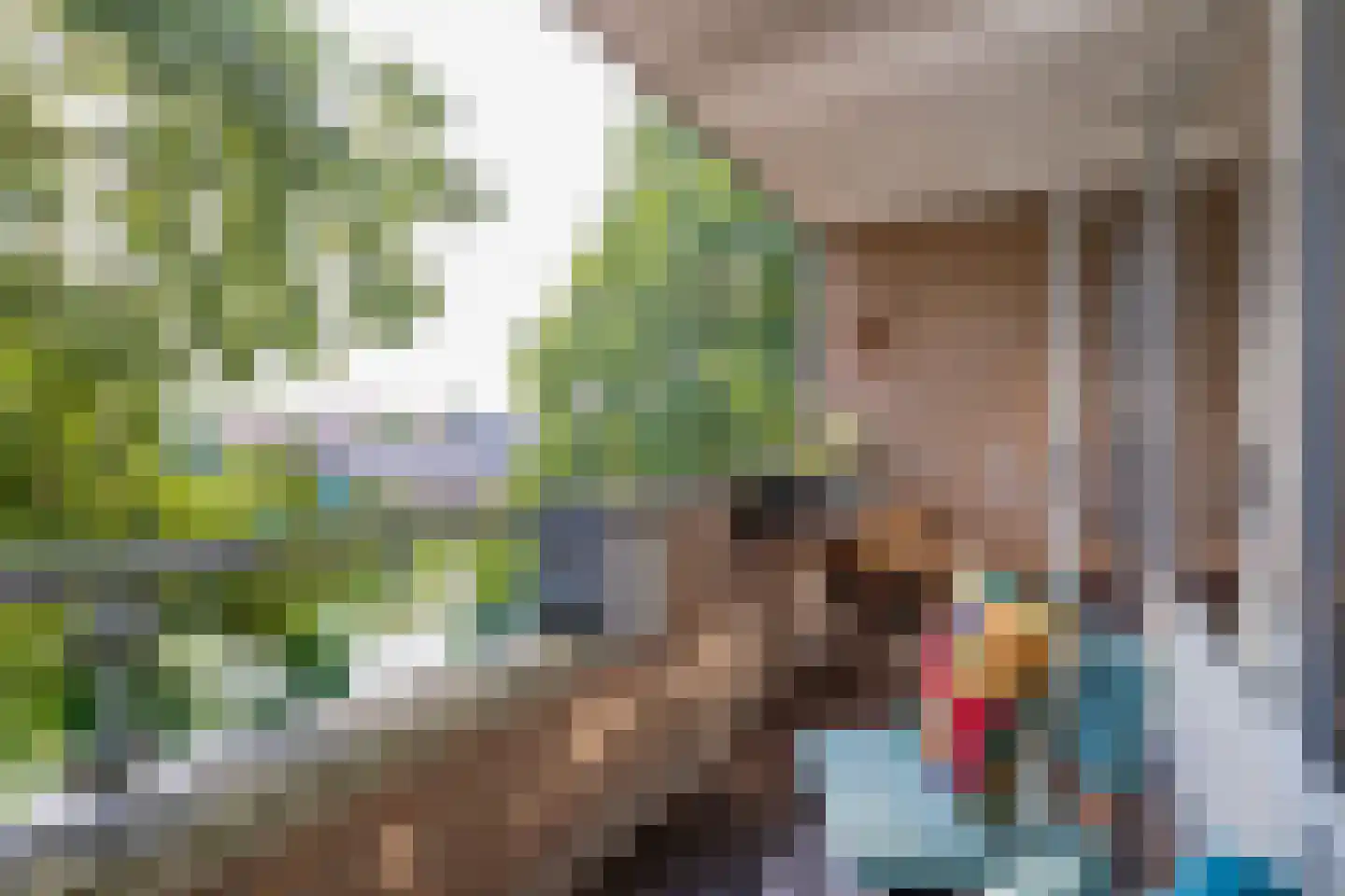 Hildo Kropplein 13 Amsterdam thumbnail 20
