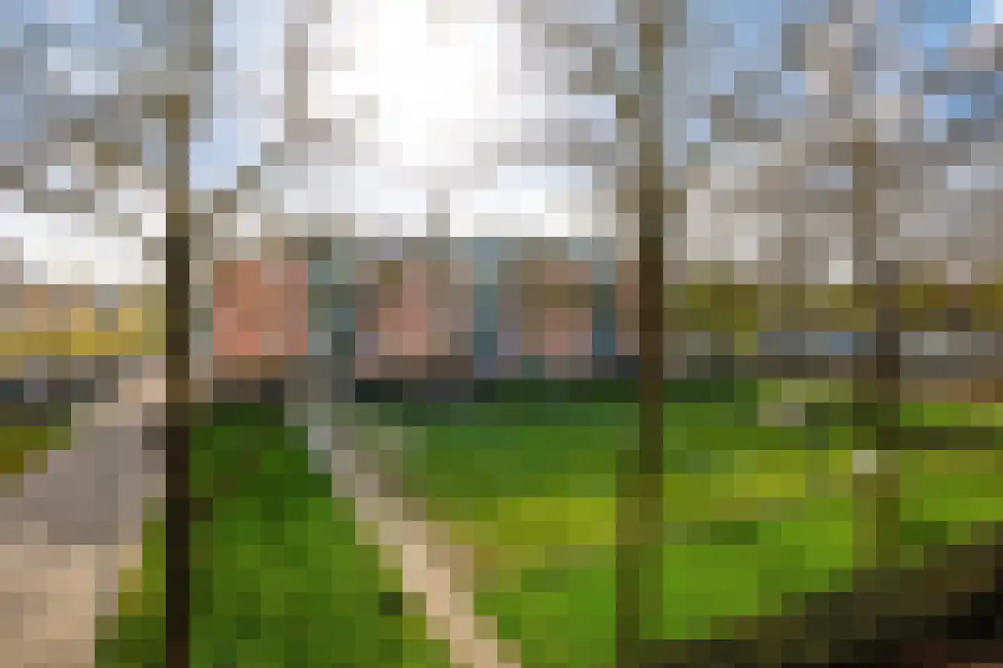 Hildo Kropplein 49 Amsterdam thumbnail 9