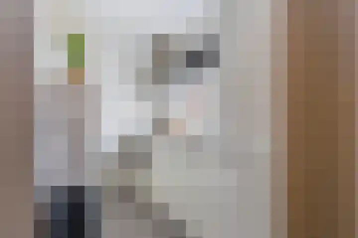 Hildo Kropstraat 38 Steenwijk thumbnail 14