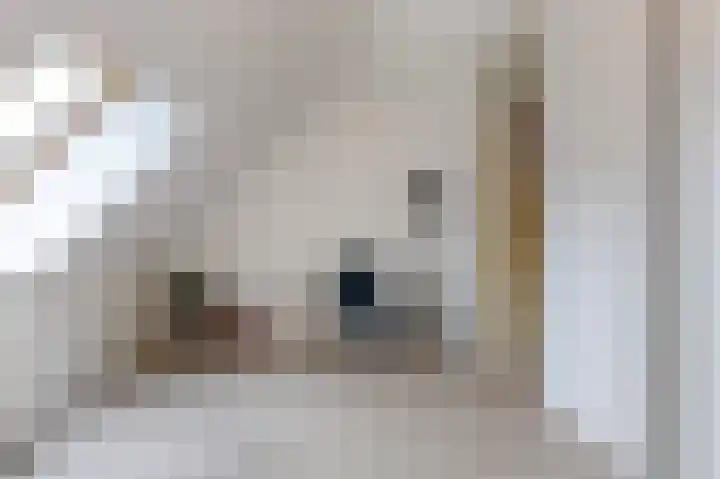 Hildo Kropstraat 38 Steenwijk thumbnail 26