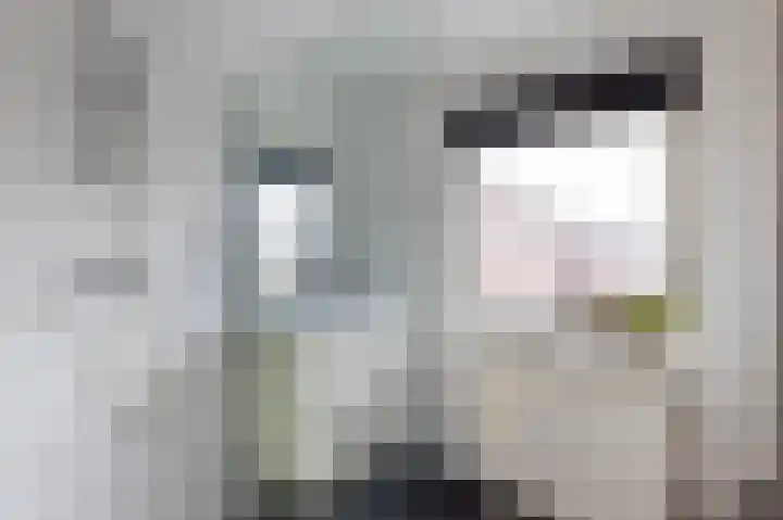 Hildo Kropstraat 38 Steenwijk thumbnail 27