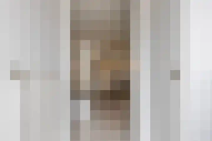 Hildo Kropstraat 38 Steenwijk thumbnail 6