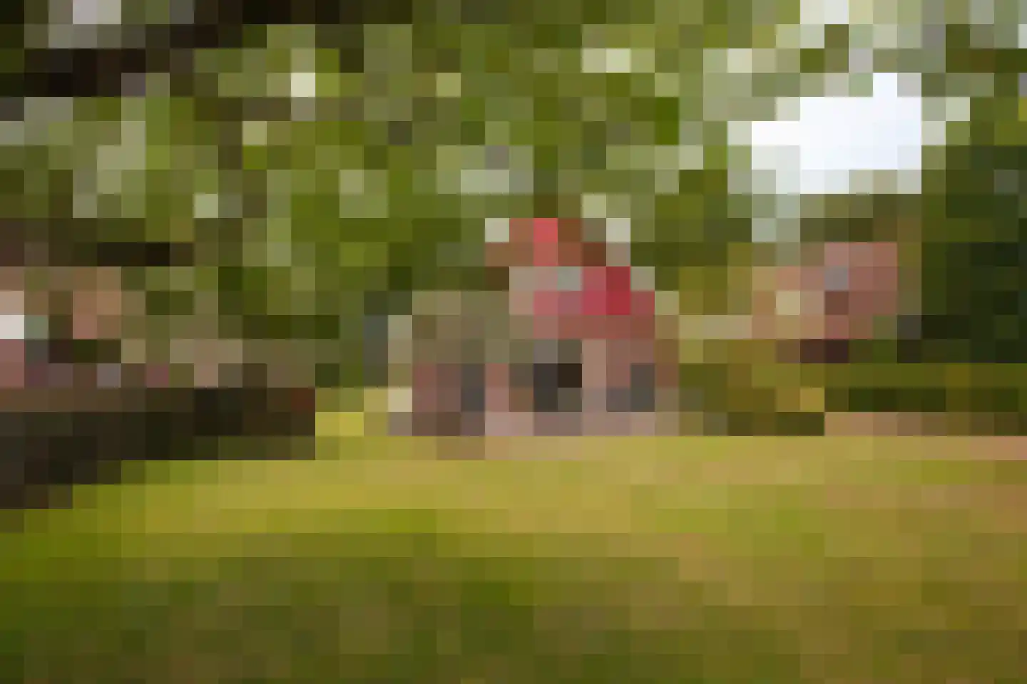 Hilgeloweg 2 10 Winterswijk Meddo thumbnail 4