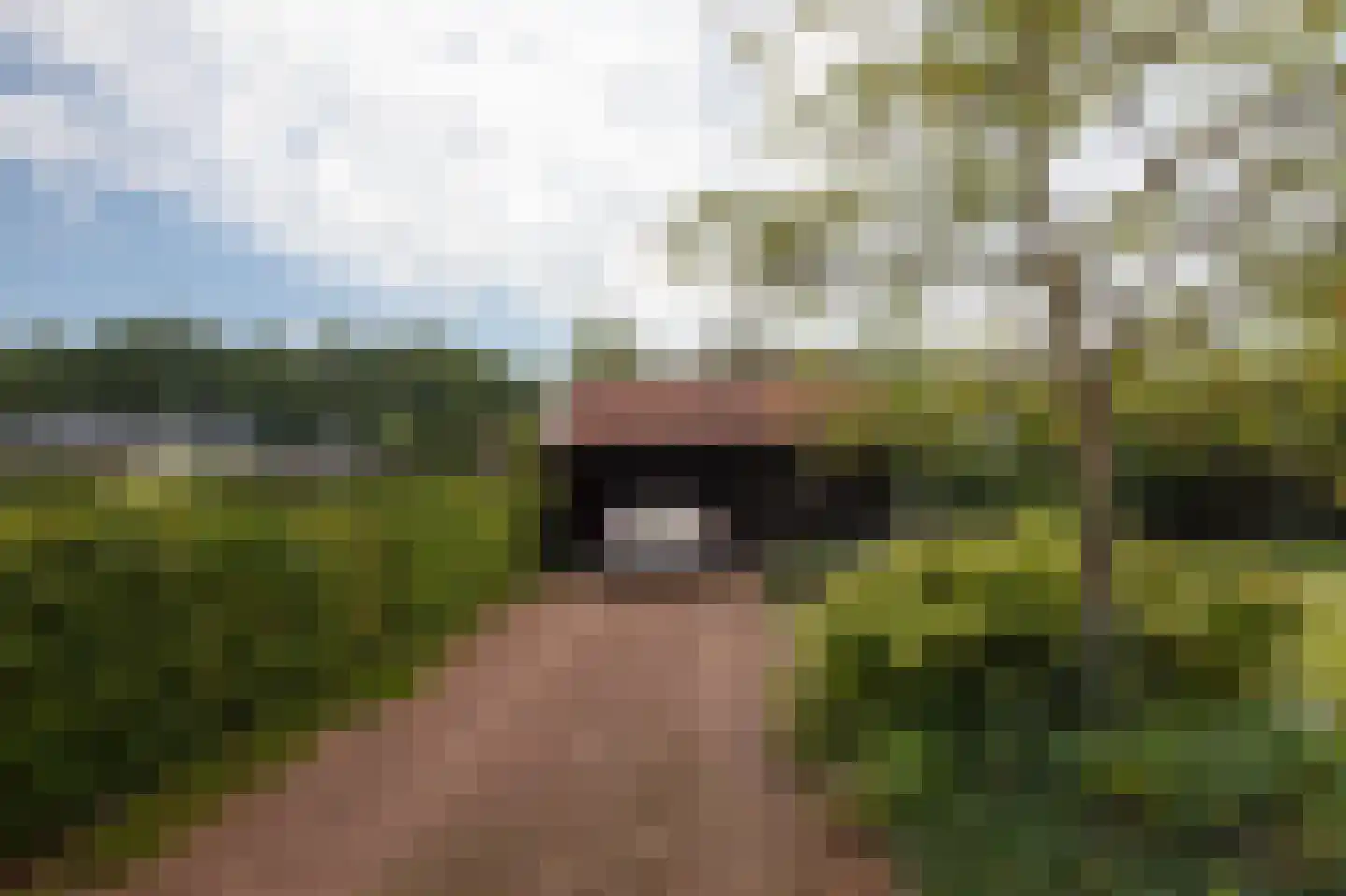 Hilgeloweg 2 10 Winterswijk Meddo thumbnail 8