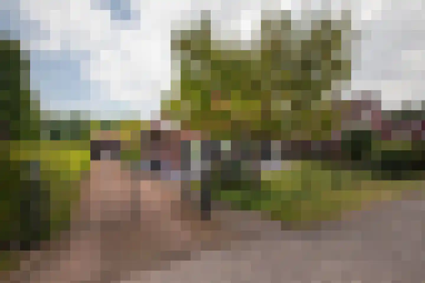 Hilgeloweg 2 10 Winterswijk Meddo thumbnail 9