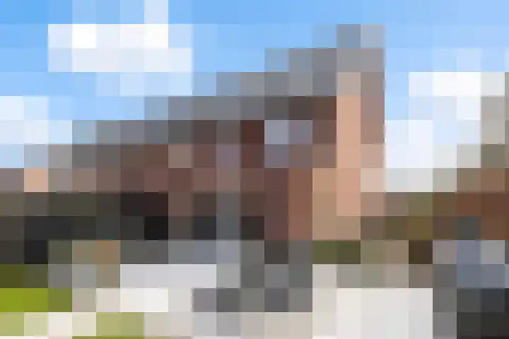 Hilgerslaan 52 Soesterberg thumbnail 38