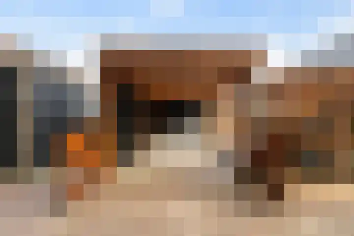 Hilgerslaan 52 Soesterberg thumbnail 43