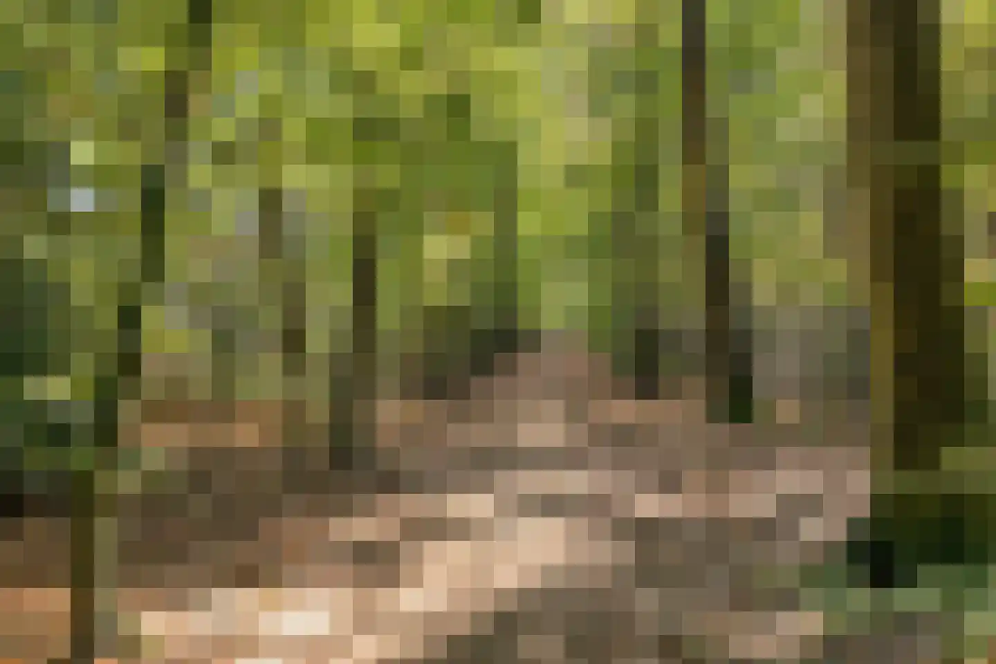 Hilgerslaan 7 Soesterberg thumbnail 43