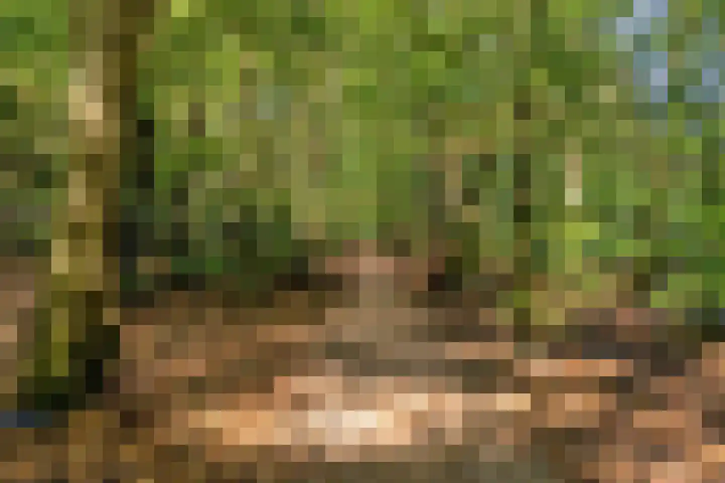 Hilgerslaan 7 Soesterberg thumbnail 44