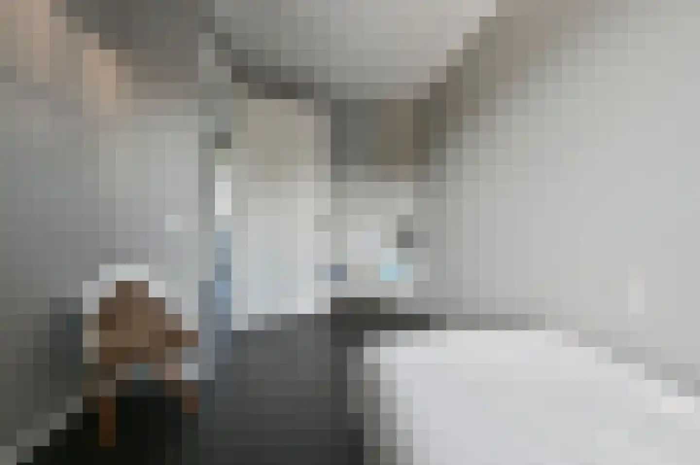 Hilhorststraat 4 Eemnes thumbnail 14