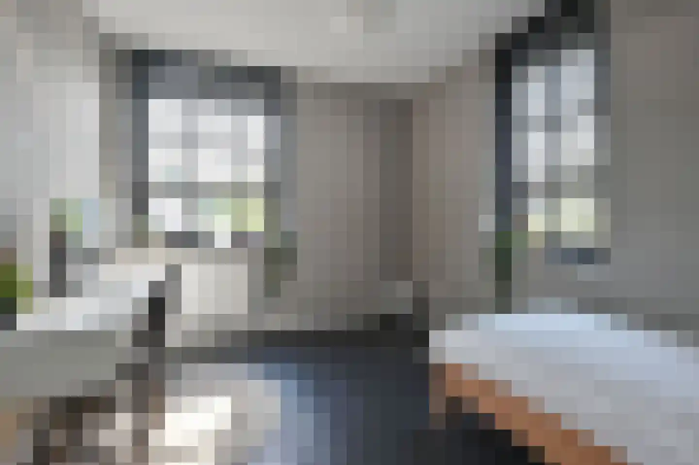 Hilhorststraat 4 Eemnes thumbnail 17