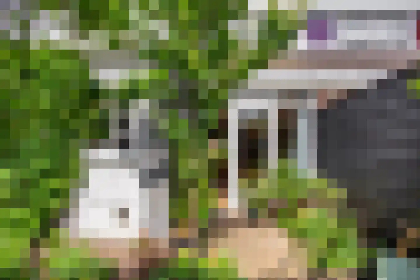 Hilhorstweg 12 Oosterbeek thumbnail 18