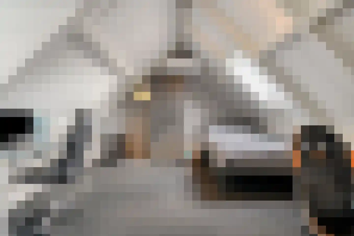 Hille Kampkes 19 Maren-Kessel thumbnail 26
