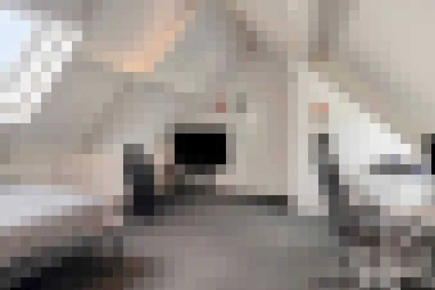 Hille Kampkes 19 Maren-Kessel thumbnail 27