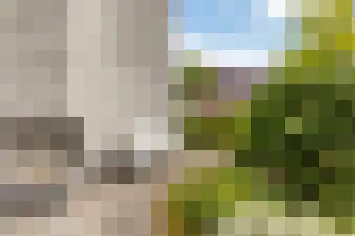 Hille Veenstrastrjitte 14 Kollumersweach thumbnail 10