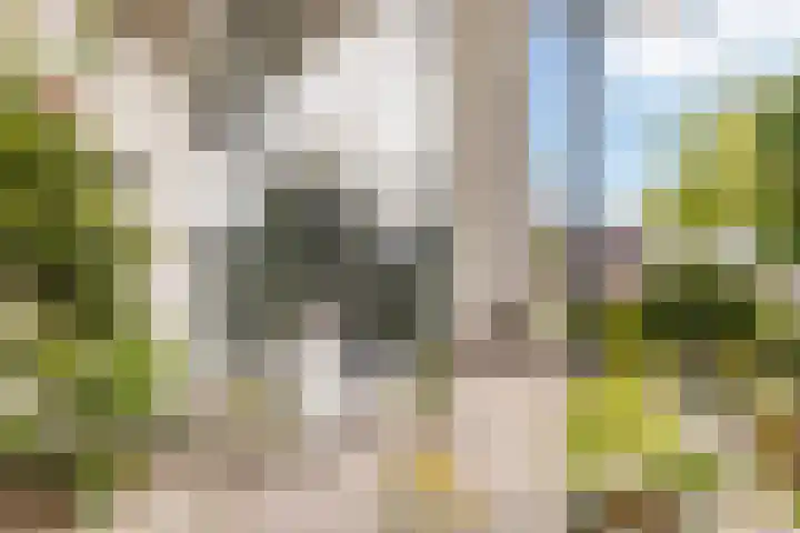 Hille Veenstrastrjitte 14 Kollumersweach thumbnail 11