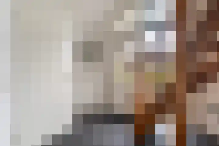 Hille Veenstrastrjitte 14 Kollumersweach thumbnail 13