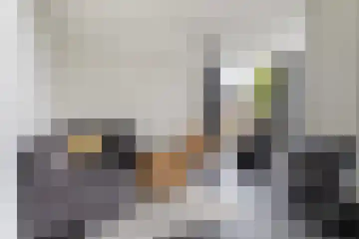 Hille Veenstrastrjitte 14 Kollumersweach thumbnail 15