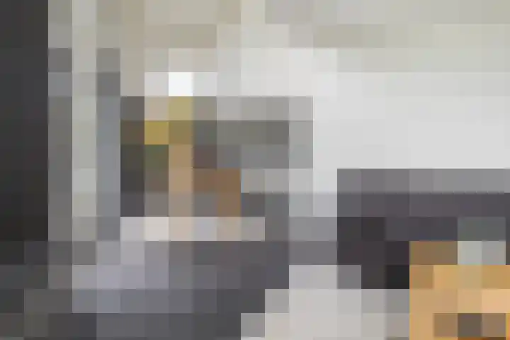 Hille Veenstrastrjitte 14 Kollumersweach thumbnail 16