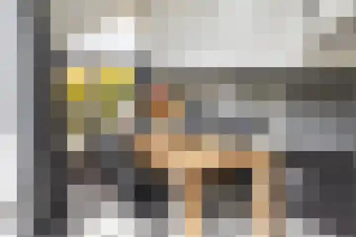 Hille Veenstrastrjitte 14 Kollumersweach thumbnail 18