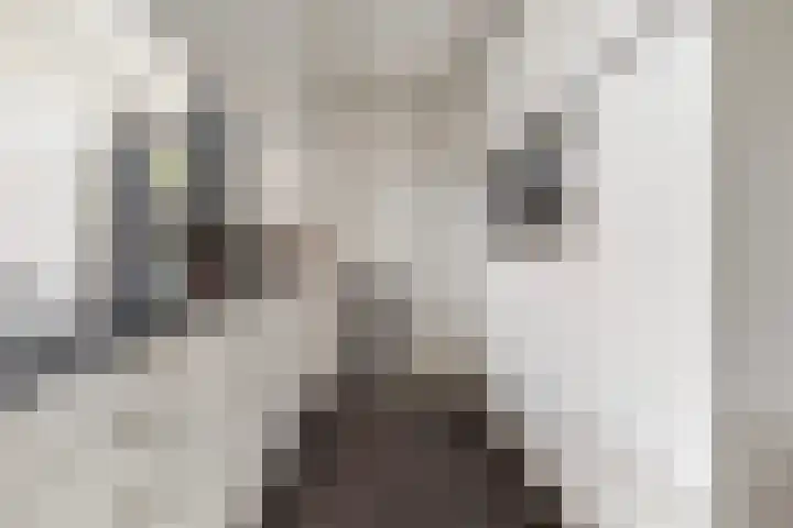 Hille Veenstrastrjitte 14 Kollumersweach thumbnail 21